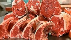 Разведение овец Вандейской породы как бизнес идея | Овцеводство | Вандейские овцы