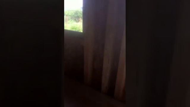 Внутренняя отделка пристройки к бане смотреть онлайн