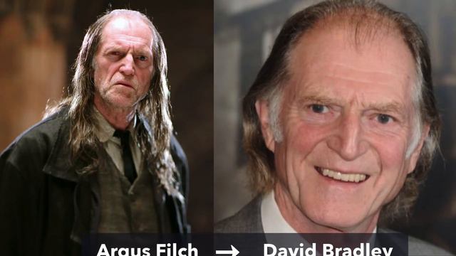 Harry Potter Cast Then and Now ( All Cast Members ) смотреть онлайн