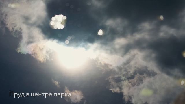 Коттеджный посёлок комфорт-класса для жизни на природе. Выборгский р-н, 35 км от СПб. 2021 год смотреть онлайн