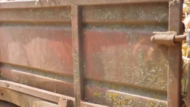 уборка лука комбайном, чистка лука- лето 2014 смотреть онлайн