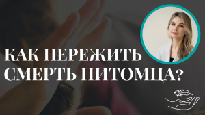 Как пережить потерю домашнего питомца? Смерть животного. Психолог Мария Коледина