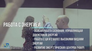Энергетическая система развития "Черный лотос"