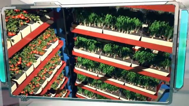 Dahir Insaat: Greenhouse (in Russian) смотреть онлайн