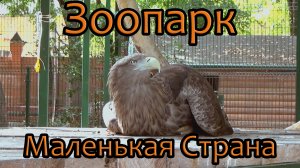 Зоопарк "Маленькая страна" / Балахна / Сентябрь 2023