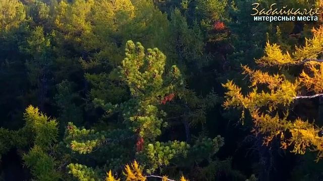 В тайгу за кедровым орехом. Интересные места Забайкалья смотреть онлайн