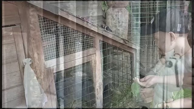 Мои подопечные. Дячинская Полина
