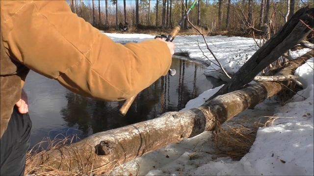 ЯЗЬ НА ДОНКУ#14 смотреть онлайн