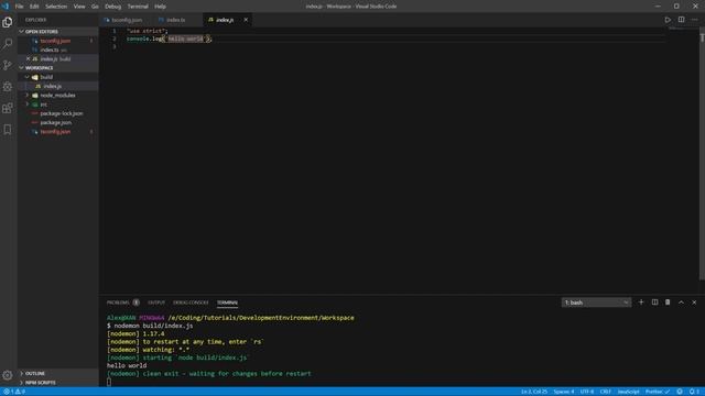 Leetcode Visualized: TypeScript Development Environment
