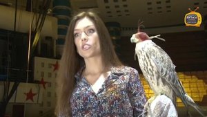 Цирк Никулина приехал в город