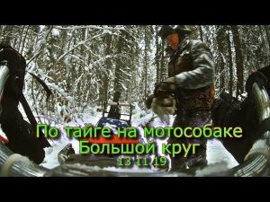 По тайге на мотособаке Большой круг 13 11 19