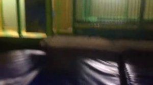 Майкоп ,Ананас,и кафе на балконе,страусиная ферма на Гусеве .