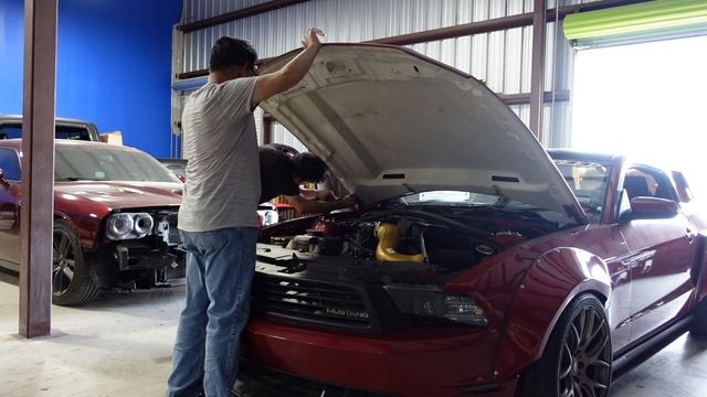 Installing a Cervini Cobra R Hood On My 2012 Mustang! смотреть онлайн