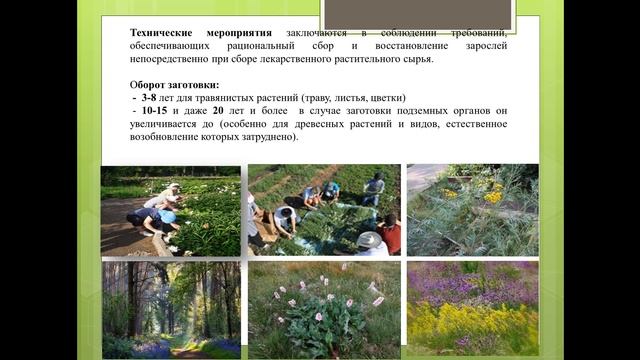 Основы рационального природопользования. Источники лекарственного растительного сырья