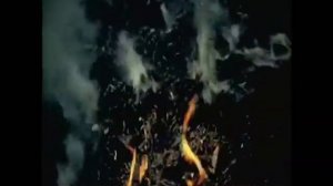 Не стреляйте в белых лебедей 2