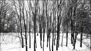 Личное мнение -  Мир-1В 2.8/37