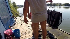 Карпфишинг на Павловском. Впервые на карповой рыбалке.