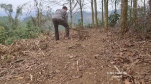 Harvest for livestock and prepare for a new crop. Robert | Green forest life (ep268)