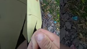 Как снять пленку с кузова авто