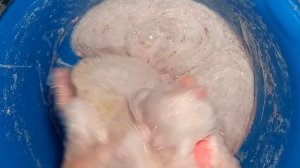 хрустящая засохшая мыльная пена и густой мыльный гель / три губки / asmr soap