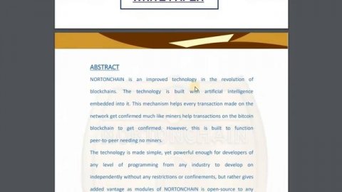 Обзор ICO Nortonchain - децентрализованная биржа и целая экосистема