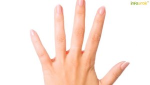 Распространение болезней. Пищевые отравления | Классные часы и ОБЖ #17 | Инфоурок