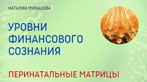 Уровни финансового сознания. Перинатальные матрицы.
