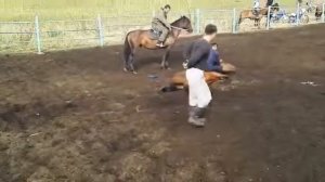 Казаx приручает дикую лошадь.