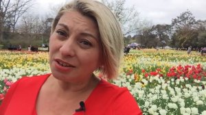 13 знак зодиака ЗМЕЕНОСЕЦ от Angela Pearl.