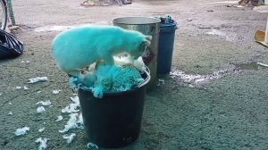 Забой гусей