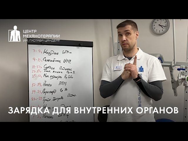 Кинезиологическая зарядка для внутренних органов