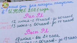 Агрогороскоп посадки капусты в июне 2021 года
