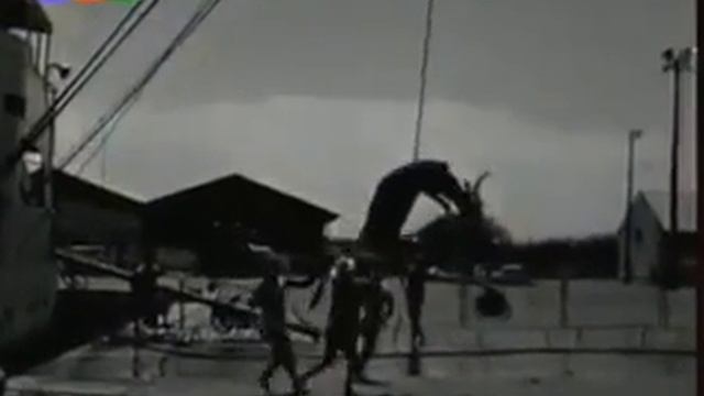 N° 16. Emission C'était hier Métier docker. смотреть онлайн