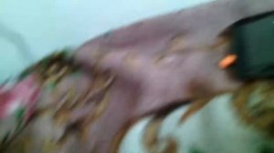 Обзор планшета Toshiba Exite Pure с разбитым тачск