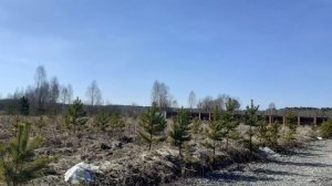 Земельный участок для дачи в Екатеринбурге купить