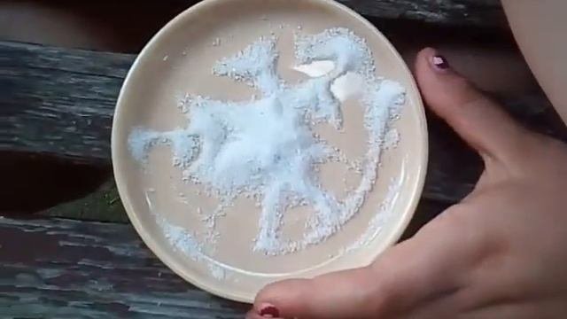 Эксперимент с солью/Разоблачение Элли Ди