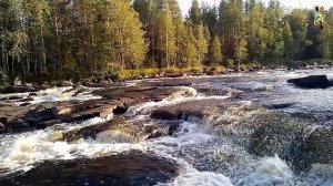 Лоция порога Собачий на реке Воньга/ Карелия