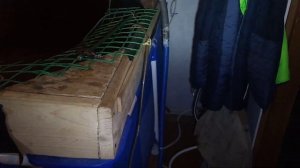 Три недели без биофильтра