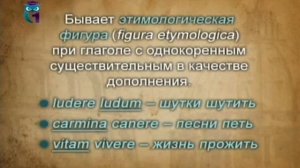 Латинский язык. Урок 1.7. Латинские падежи