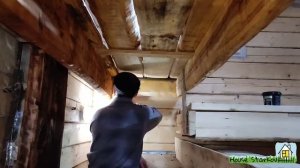 Обработка полков, лавки и двери льняным маслом