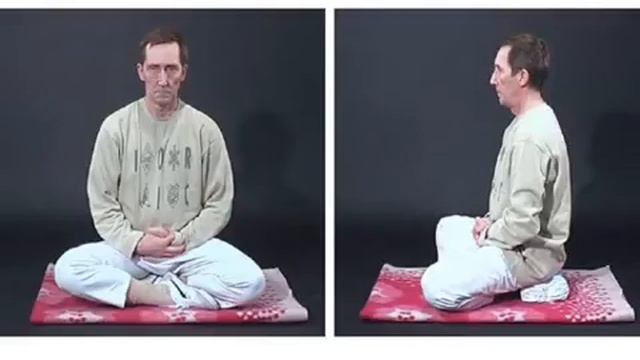 457. Что такое ТИХОЕ СИДЕНИЕ «Внутренняя улыбка» смотреть онлайн