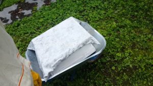 Отбор магазинных рамок с рутовских семей