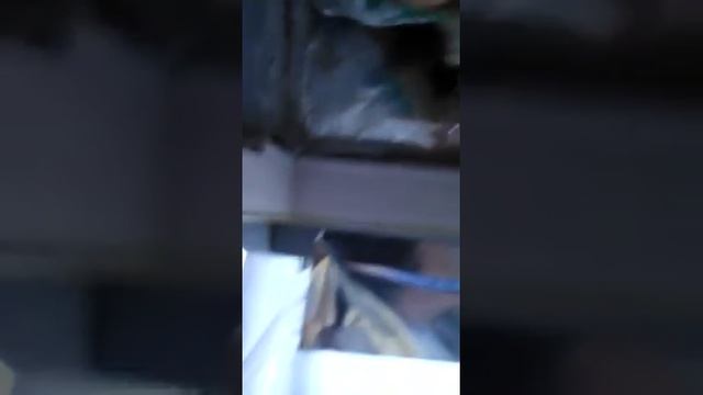 Герметизация балконов и устранение течи , со стороны улицы и соседей от компании Ремспецстрой