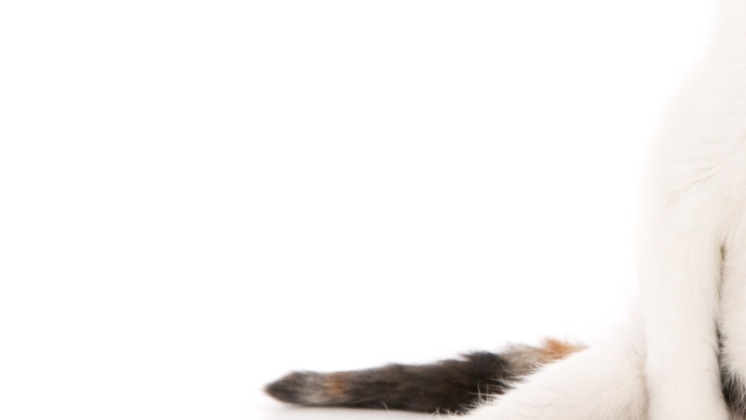 11111 смотреть онлайн