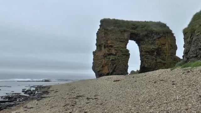 Мои Командоры! Остров Беринга смотреть онлайн