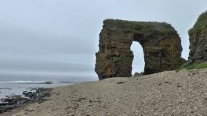 Мои Командоры! Остров Беринга