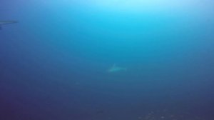 На яхте по Мальдивам Full HD