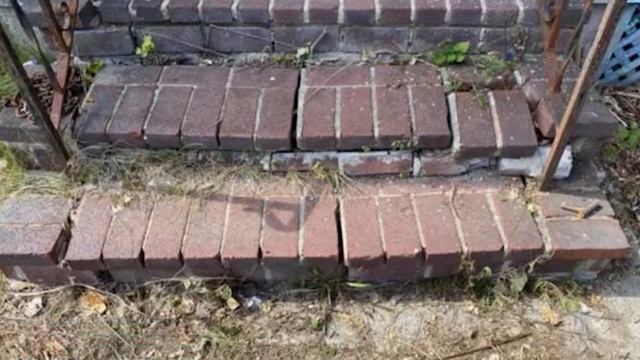 Увидев состояние дома пожилой женщины, электрик позвал на помощь всю округу смотреть онлайн