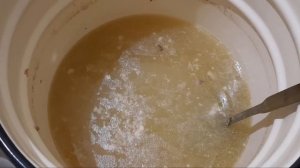 Правильный Холодец из курицы и свиной рульки. Все СЕКРЕТЫ ПРИГОТОВЛЕНИЯ!