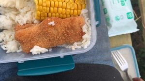 Сбор клубники | Вся правда! | Ферма Dearnsdale Knightley |  РАБОТА В АНГЛИИ